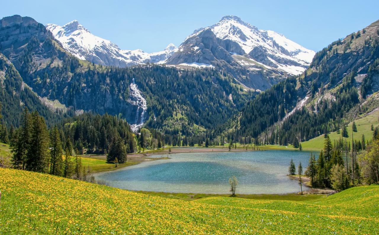 Hotel Alpenland Gstaad Eksteriør billede